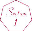 Section1